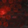 Morgan Wallen - You Proof