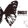 Drist - Orchids and Ammunition