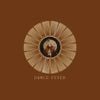 Florence + the Machine - Dance Fever (Deluxe)