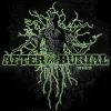 After the Burial - Rareform