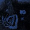 Hive - Exuviae