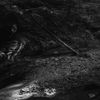 Lorna Shore - Into the Earth