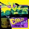 Metaroom - CARLOT32 (METAROOM REMIX)