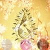 Pyramid Vritra - The Story of Marsha Lotus