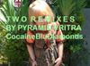 Pyramid Vritra - T W O R E M I X E S