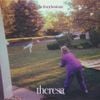The Front Bottoms - theresa