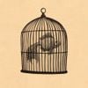 Fish in a Birdcage