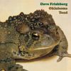 Dave Frishberg - Oklahoma Toad