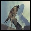 Iceage - You&rsquo;re Nothing (+ 2)