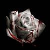 d4vd - Romantic Homicide