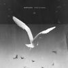 Martin Roth - Mono No Aware