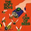 The Soft Boys - A Can of Bees