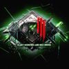 Skrillex - Rock 'N' Roll (Will Take You to the Mountain)