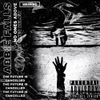 Abbie Falls - No One&rsquo;s Above, No One&rsquo;s Below