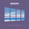 Memorex Memories - Pictures of Purple Skies