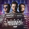 Vlegels - Muzikaal Misdrijf