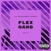 Various Artists - Flex Gang, Vol. 4