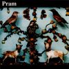 Pram - The Museum of Imaginary Animals