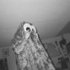 Lil Ugly Mane - floorboards