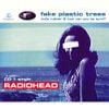 Radiohead - Fake Plastic Trees