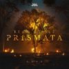 Bear Grillz - Prismata (Dark)