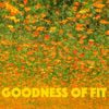 GOODNESS OF FIT