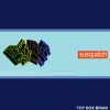 susquatch - TOY BOX BRAIN