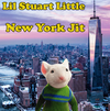 Lil Stuart Little - New York Jit