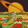 Moon Letters - Thank You From the Future