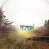 Shed Theory - Lurch Theory