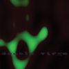 Double Virgo - Eros in the Bunker