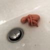 BoKKo - What Goes Down The Drain