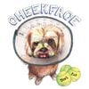 Cheekface - Don&rsquo;t Ask (b-sides)