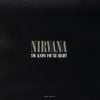Nirvana - You Know You're Right