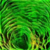 OS2 // WARP - It is of My Opinion that the People are Intending