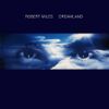 Robert Miles - Dreamland