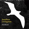 İndigo - Jonathan Livingston
