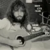 Robert Lester Folsom - Sunshine Only Sometimes Archives Vol. 2, 1972&ndash;1975
