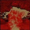Chaos Ech&oelig;s - Mouvement