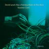 SSVU - David Lynch Has a Painting Made of Flies Eyes / Suzanne Ciani