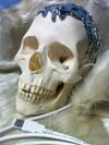 2011 #9: 7 Skies H3 – 24 Hour Skull