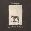 Wunderhorse - Leader of the Pack