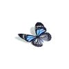 Downhill2k01 - Butterfly Tetrad