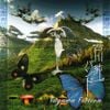 Jun Togawa Band - Togawa Fiction