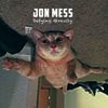 Jon Mess - Defying Gravity
