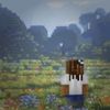 Trenchbabyeli - Minecraft