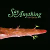 Say Anything - &hellip;Was a Real Boy