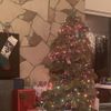 Ariel Pink - Rudolph's Laptop