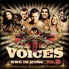 Various Artists - WWE: The Music, Vol. 9
