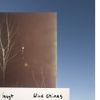 insyt. - Wind Chimes